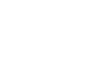 Evolution games at Spin Treasure Casino